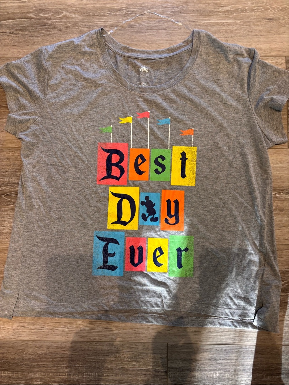 Disney Gray Short-Sleeve Tee with Multicolor "Best Day Ever" Blocks